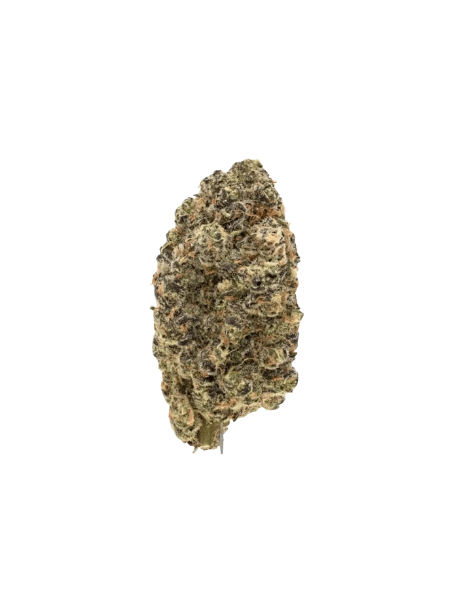 420 Evolution 25/1 CA CAP Cap Junky