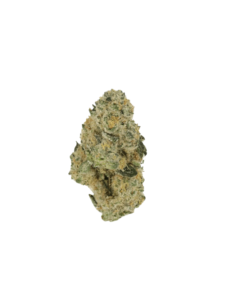 Cannamedical Sativa Ultra NM Polar Cookies