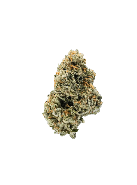 Enua 25/1 MB CA Mega Breath