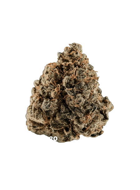 Huala 22/1 CA GRF Grape Face