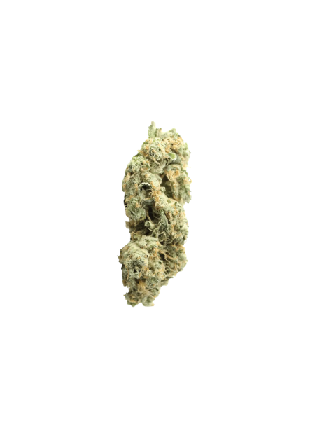 Huala 27/1 CA ALM Alien Mints