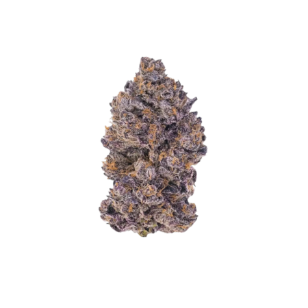 enua 25/1 BT CA Black Truffel