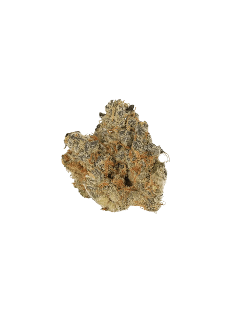 Space Cake - 31/1 CM SPC