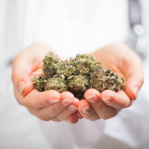 cannabis in sinsheim kl.png__PID:35bbbf62-33f3-4f54-8fb2-c2daba3ddef4