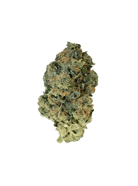 enua 30/1 GMO CA Koko Cookies