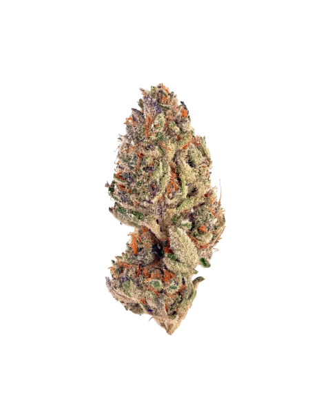 enua 30/1 SLC Slurricane