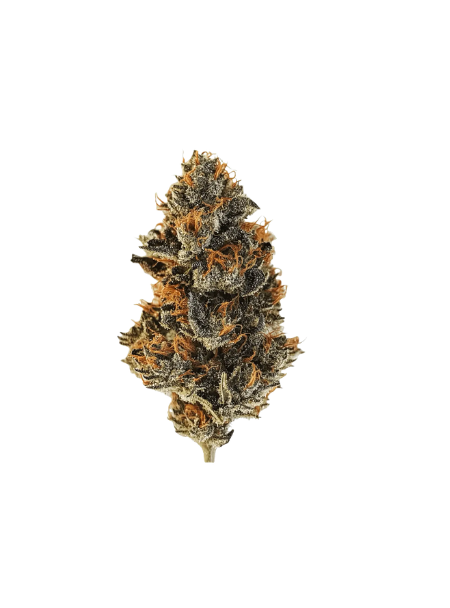 420 Compound 25/1 CA BER Berlin Berries