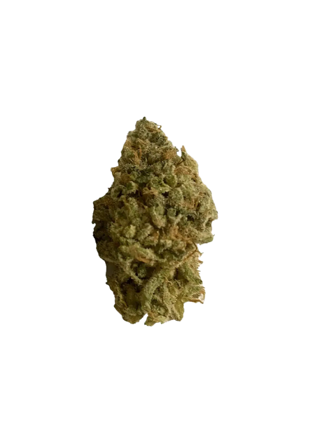 420 Evolution 27/1 CA FRG Frosted Gumbo