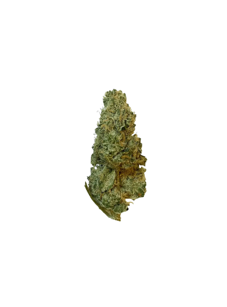 420 Evolution 33/1 CA GMO Cookies