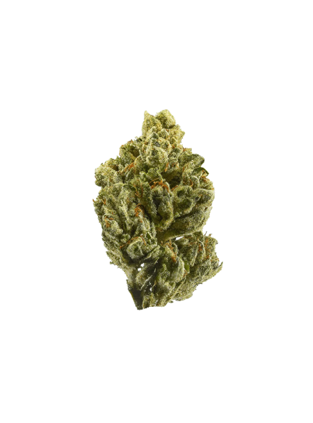 CM 24/1 OG Kush
