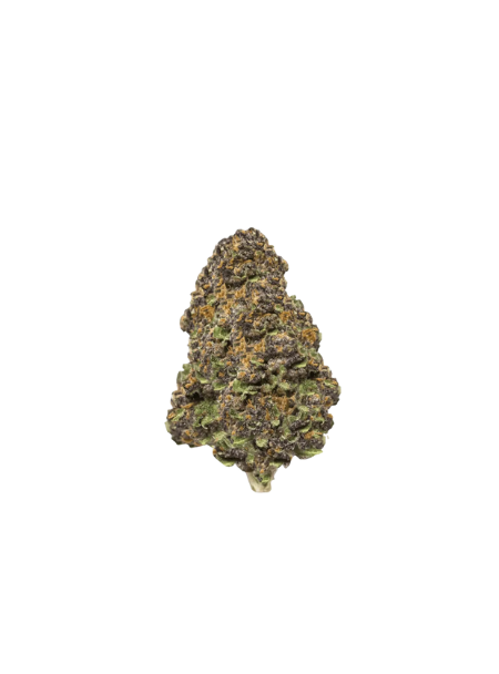 Cannamedical Hybrid Forte BC Lemon Cookies