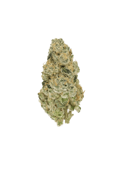 Cannamedical Sativa Ultra NM Polar Cookies - Ultra