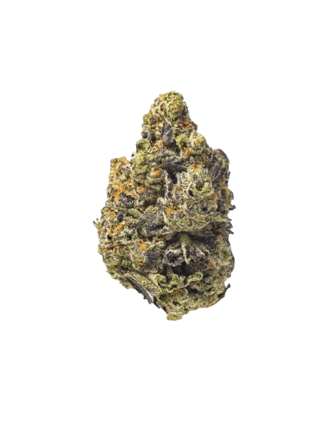 Canopy KMI 30/1 Kush Mints