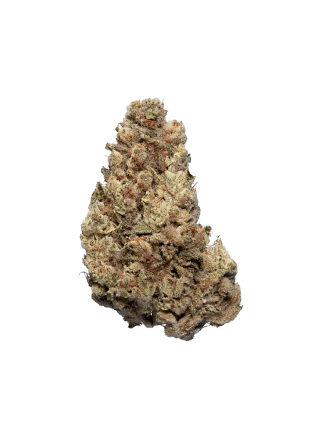 Enua 25/1 CCK Cold Creek Kush