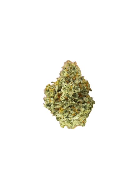 Huala 25/1 CA ALM Alien Mints