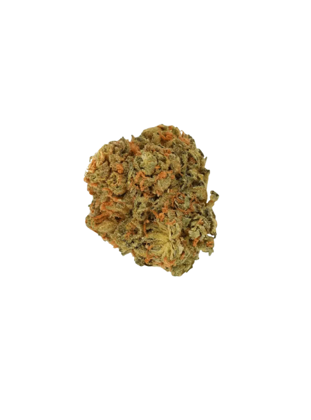 Luana 28/1 Pine Solpina Magic