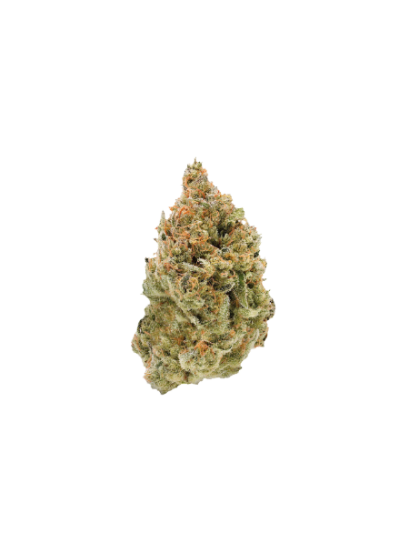 NIMBUS EASY 22/1 Jet Fuel Apricot