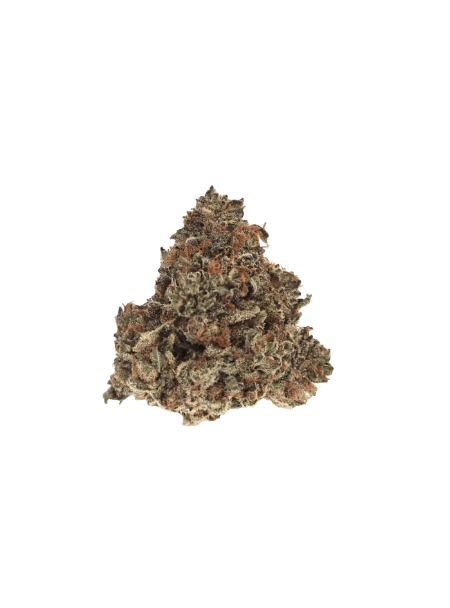 Nimbus EASY 22/1 - Gelato