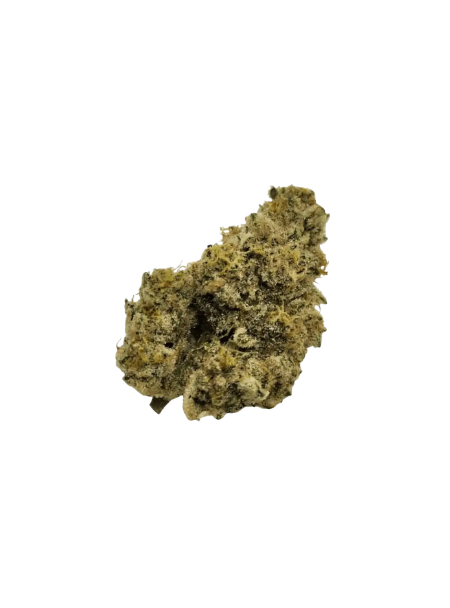 Nimbus EASY 26/1 - French Cookies