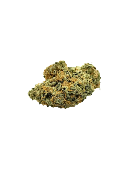 Nimbus EASY 30/1 - LA SAGE