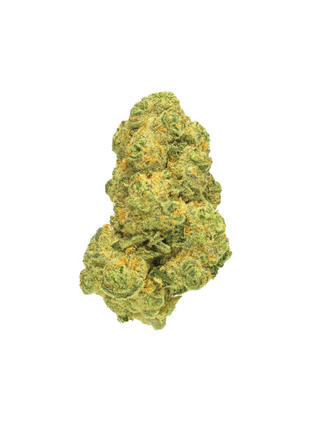 Pedanios 31/1 COS-CA Cosmic Cream