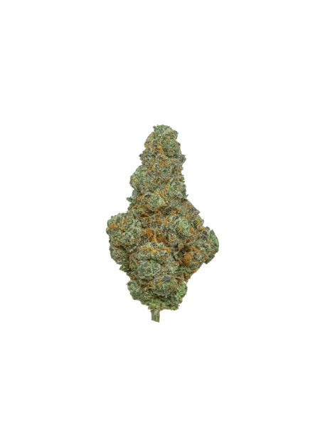 Remexian 24/1 CHR BCO Blunicorn