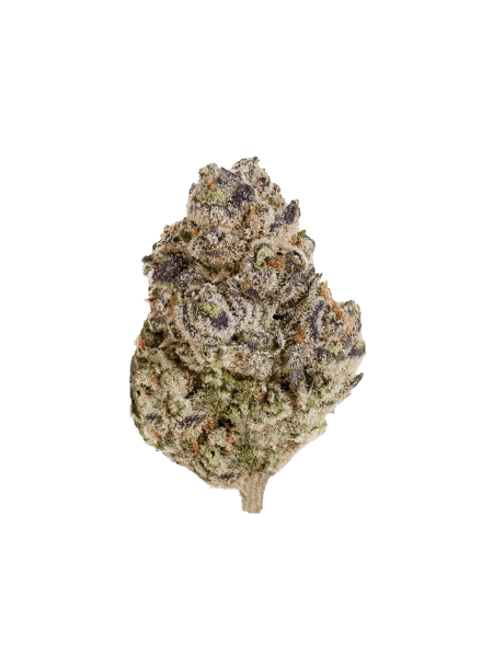 enua 22/1 BCP CA Black Cherry Punch