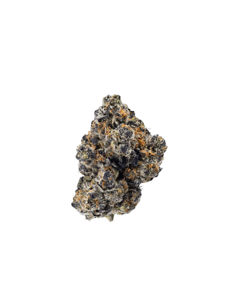 enua 25/1 SJ CA Splitter Jelato