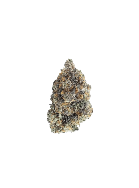 enua 27/1 AAB CA Blue Gelatti