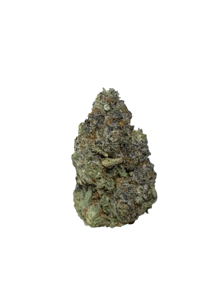 enua 33/1 MMN CA Marshmallow Man