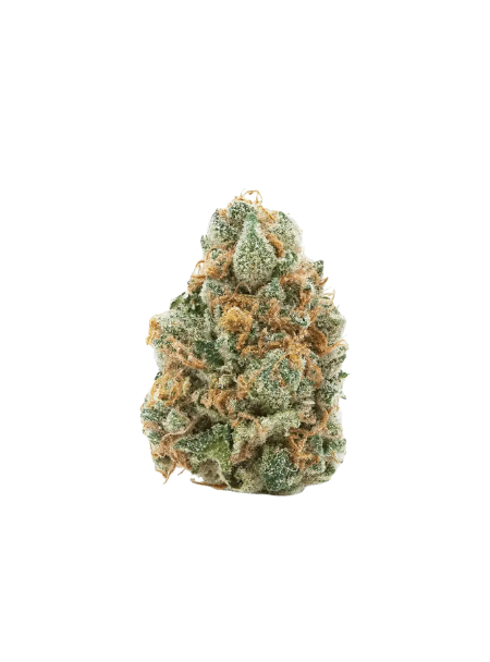 enua 36/1 JGF CA Jungle Fumes