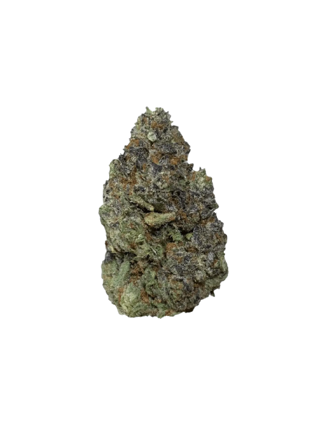enua 30/1 MMN CA Marshmallow Man