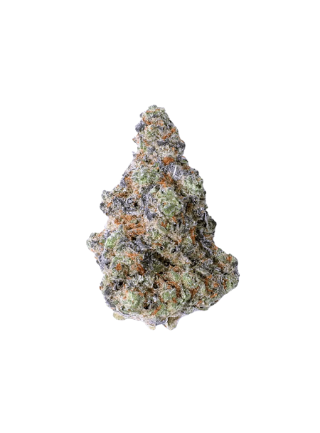 REMEXIAN 30/1 MTL PAR